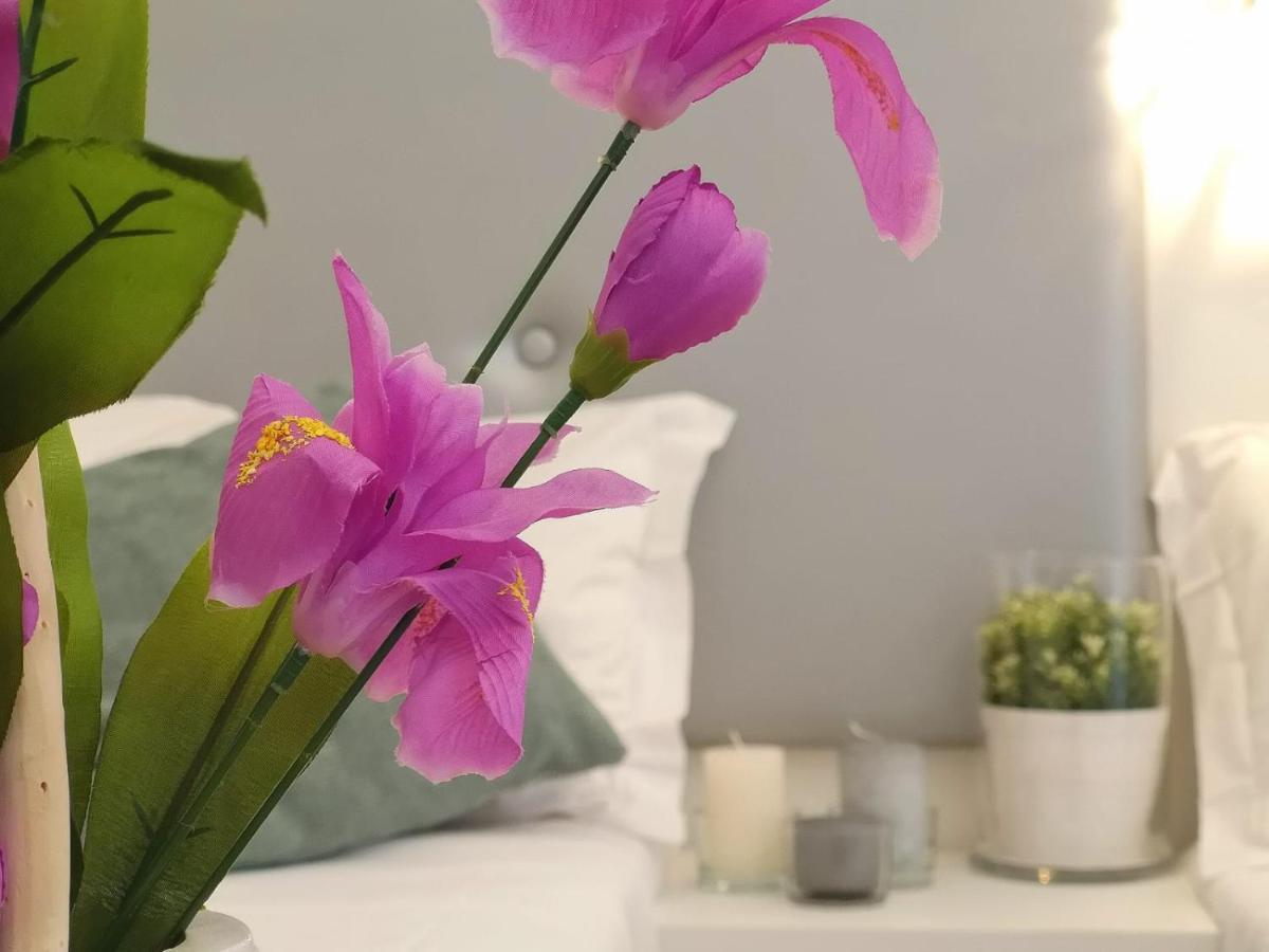 Spagna Ave Bed & Breakfast 3*